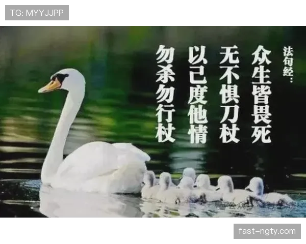 身体冲撞判罚标准：合法冲撞与犯规界定